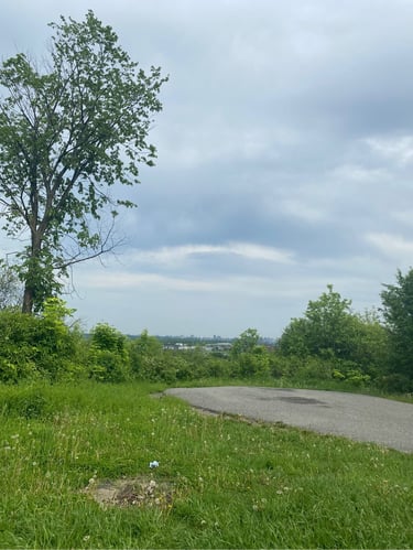 a road with grass and trees on the side