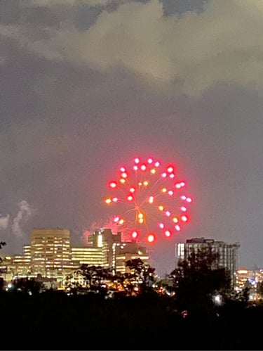 fireworks in the sky
