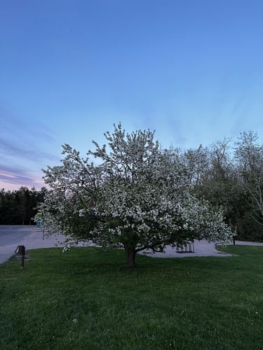 Pink Lake in Gatineau Park