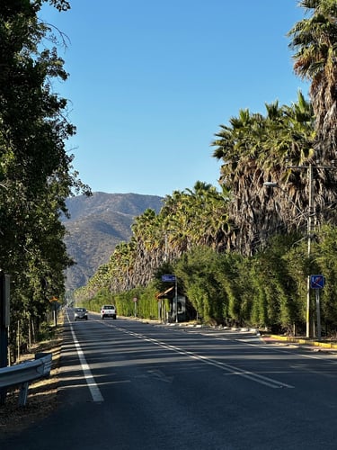 Vuelta Los Poetas 300