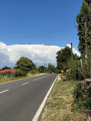Vuelta San Pedro 200