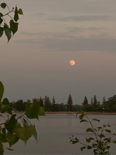 Easy Loop around the Canal