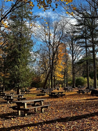 Vincent Massey and Beyond