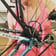 Bike Maintenance Workshop