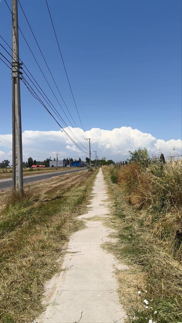 BRM 200 Vuelta San Pedro