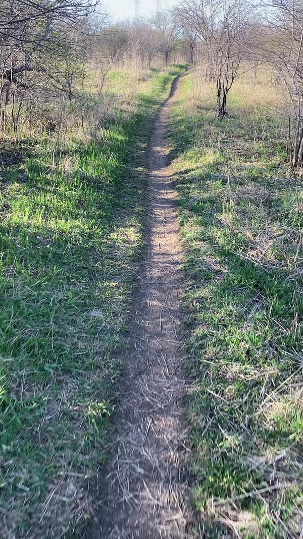 Riding on Single Track Trails