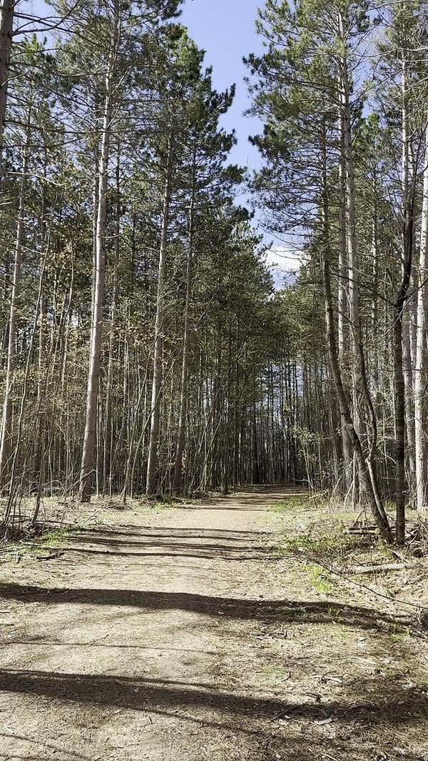 Enjoying Gravel in the Ottawa Greenbelt