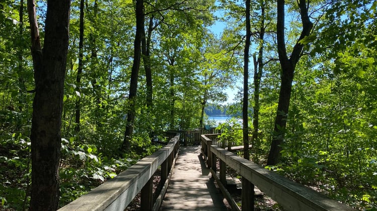 Pink Lake in Gatineau Park