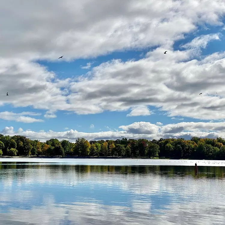 a body of water with trees and a cloudy sky