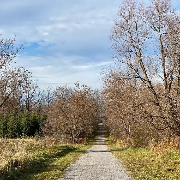 really fun gravel