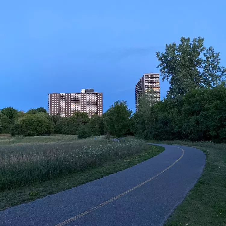 Evening Ride