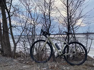 a bicycle parked by a tree