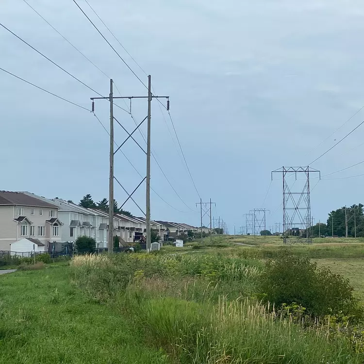 power lines and grass with houses and trees in the background