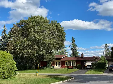 a tree in front of a house