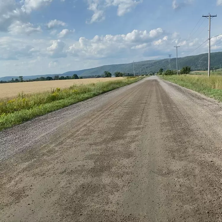 a dirt road with grass on either side of it