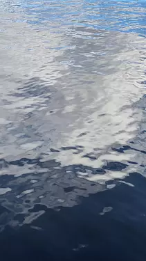 a body of water with ripples