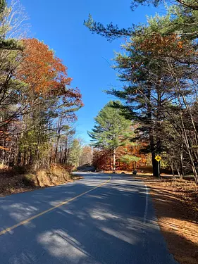 beautifulfall colours