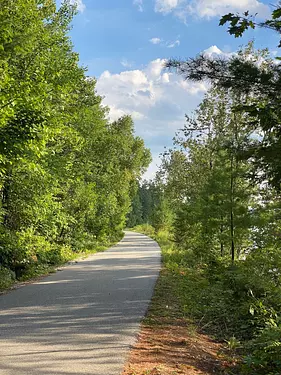 a road with trees on the side