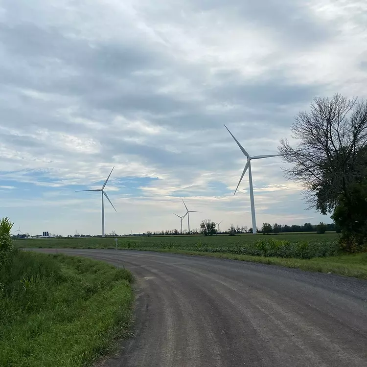 a road with windmills on the side