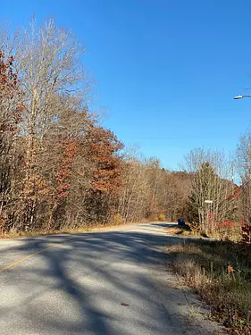 a road with trees on the side