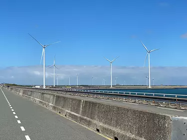 a road with a row of windmills on the side