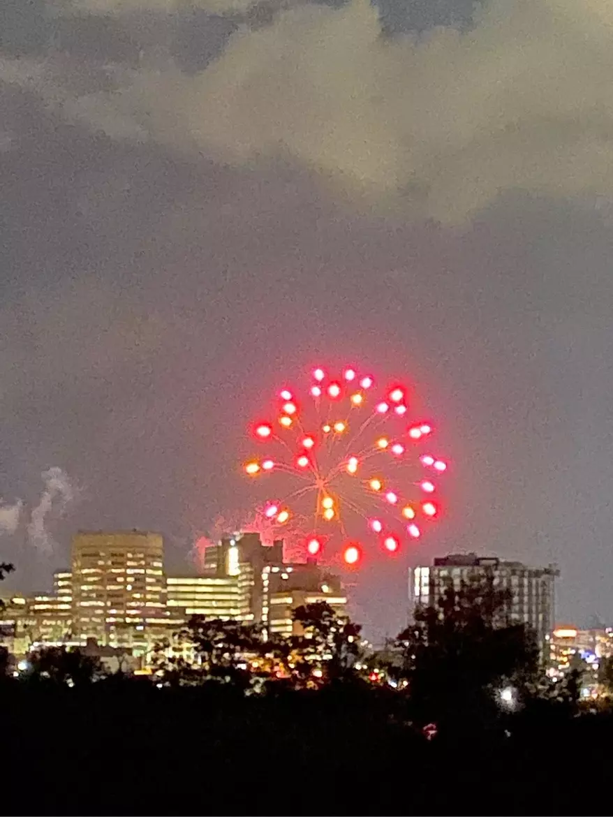 fireworks in the sky