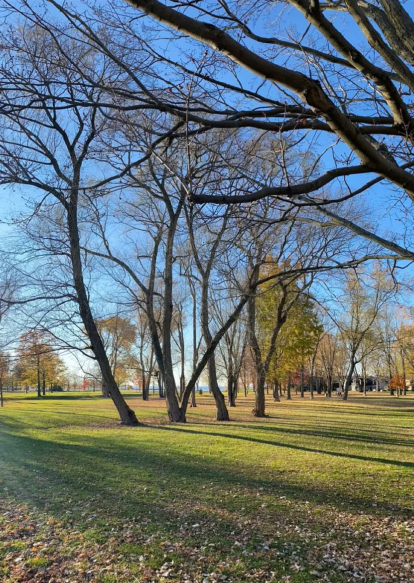 Britannia Park