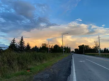 a road with grass and trees on the side