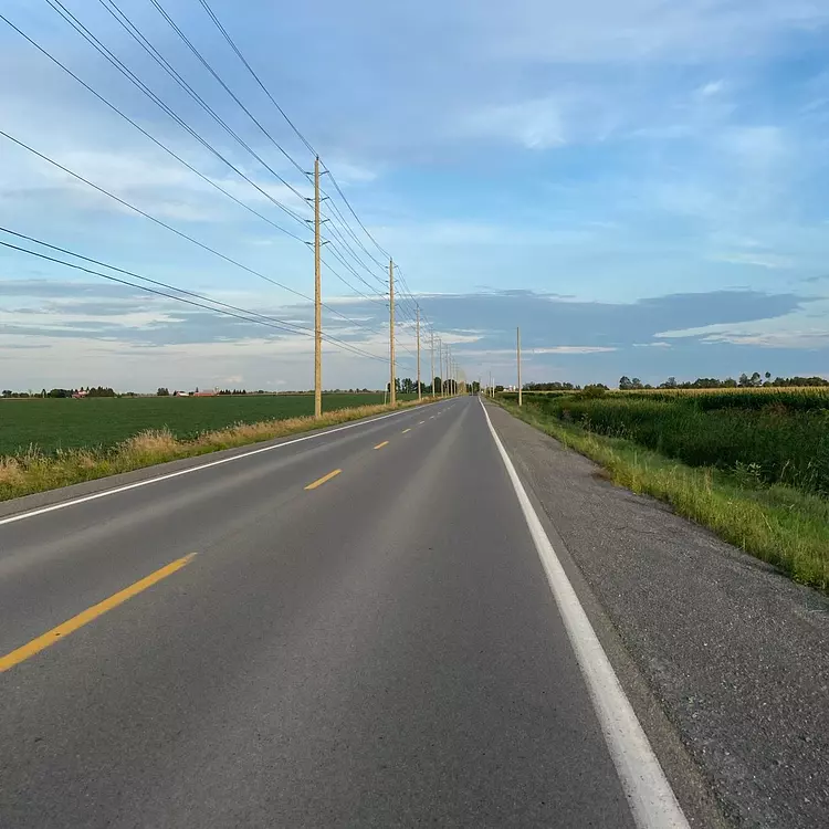 a road with power lines on the side