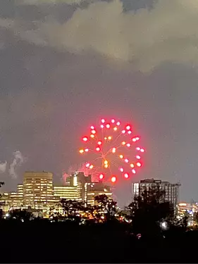 fireworks in the sky