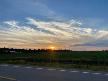 a road with grass and trees on the side and a sunset in the background