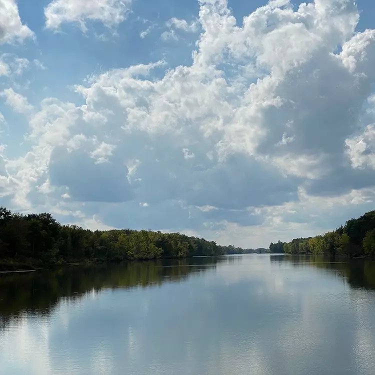 a body of water with trees around it