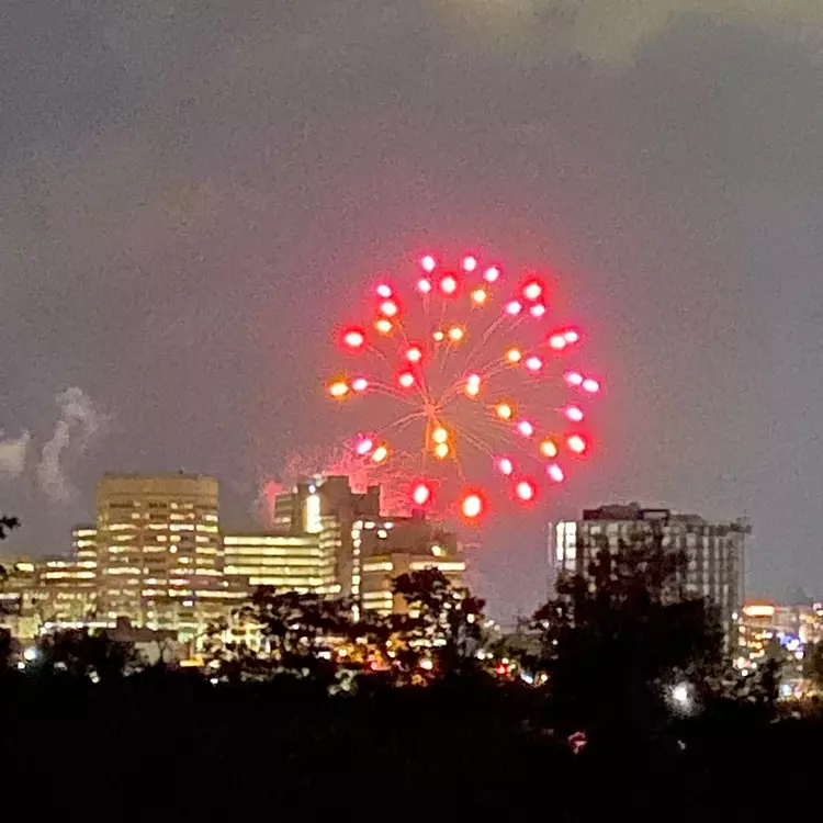 fireworks in the sky