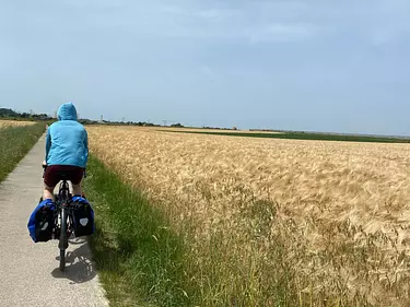 a person riding a bike on a dirt path in a field