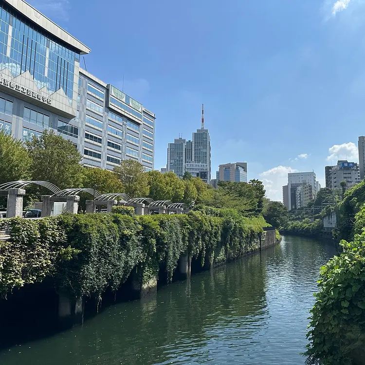 Tokyo Scramble to Yoyogi Park