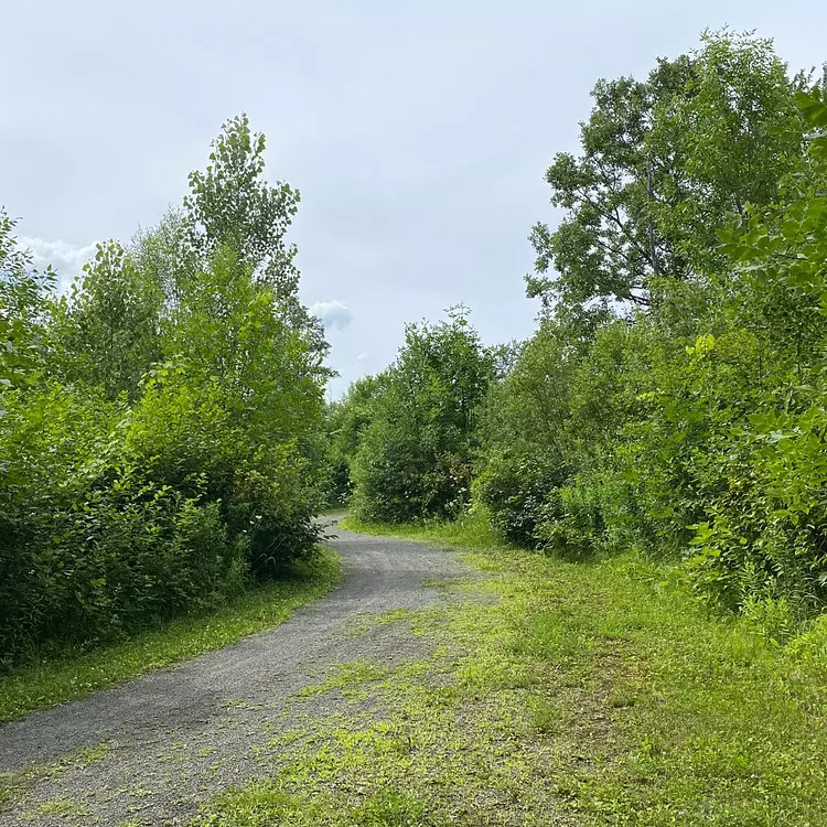 Peregrination for new GPU