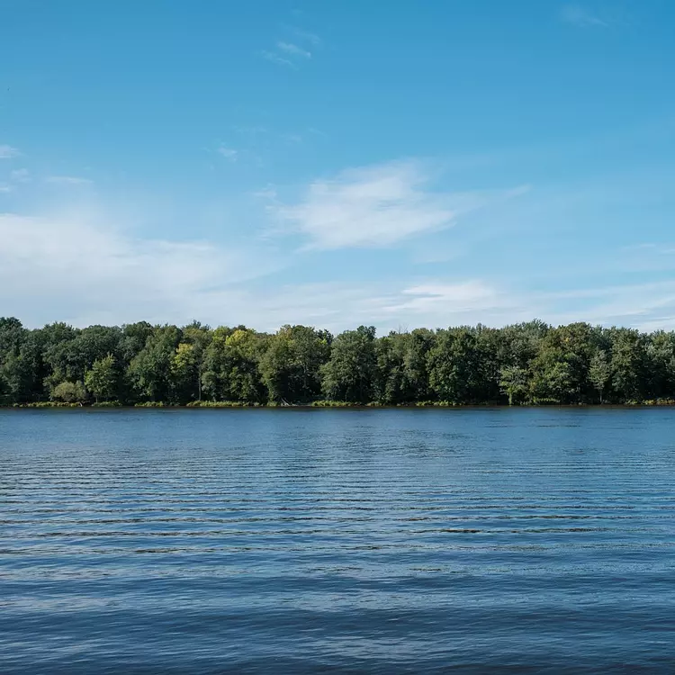 a body of water with trees in the back