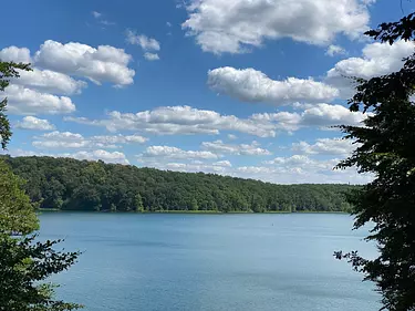 a lake surrounded by trees