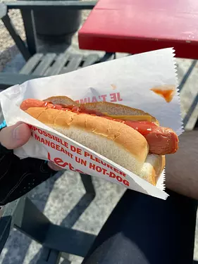 hot dog: important food