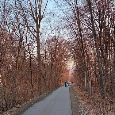 a group of people riding bikes on a road surrounded by trees