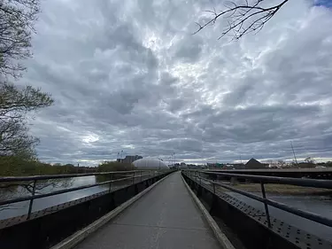 a bridge with a road and trees