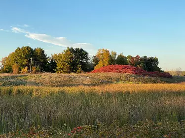 fall view