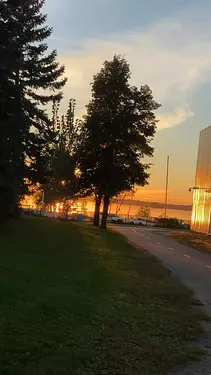 sunset