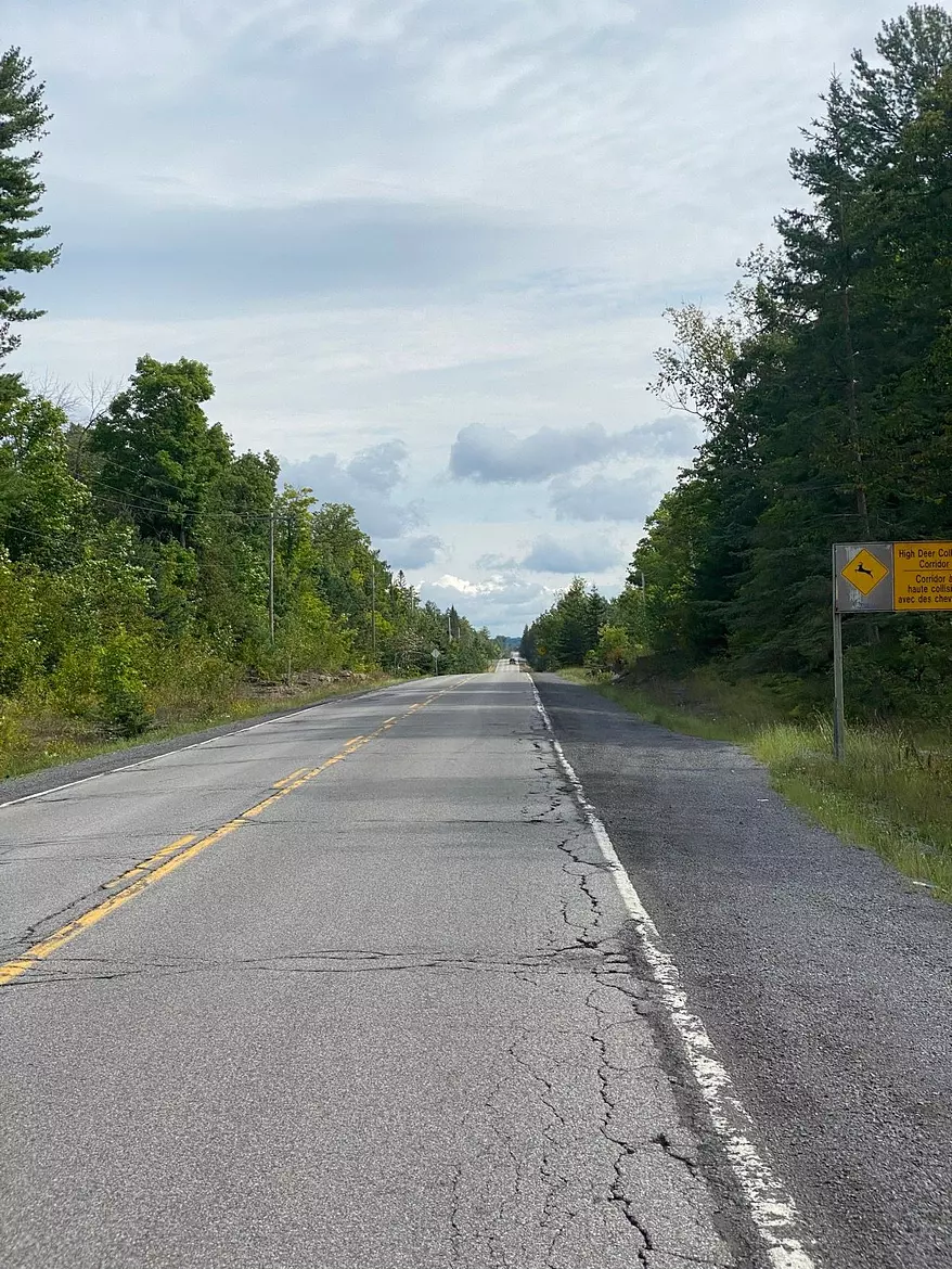 a road with trees on the side