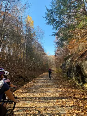 a group of people riding bikes on a trail in the woods