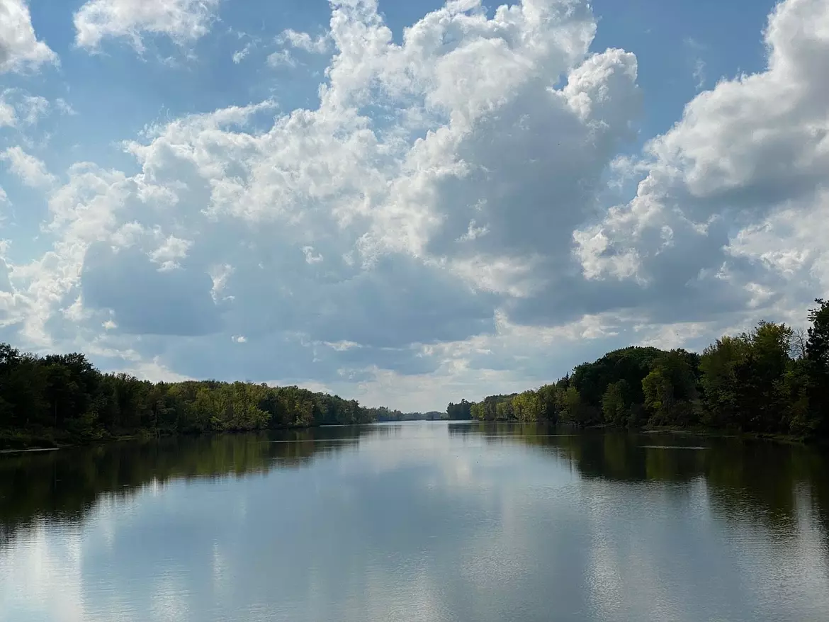 a body of water with trees around it