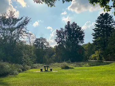 a grassy area with trees in the back