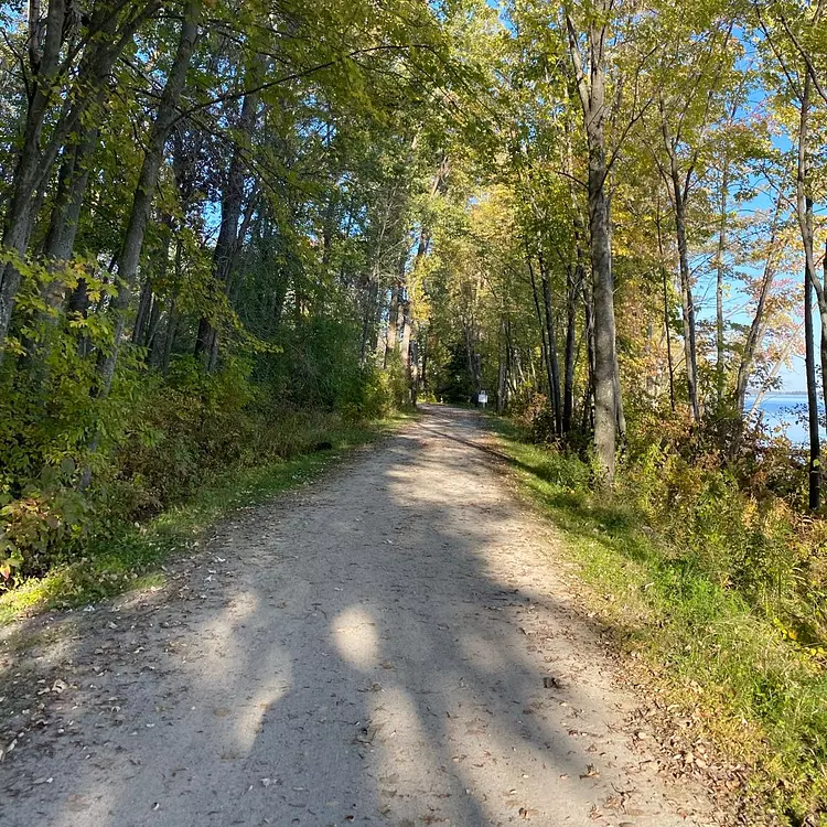 a dirt road with trees on either side of it