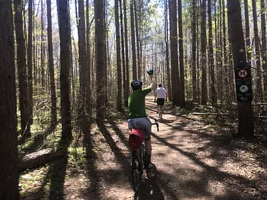 riding bikes through a forest