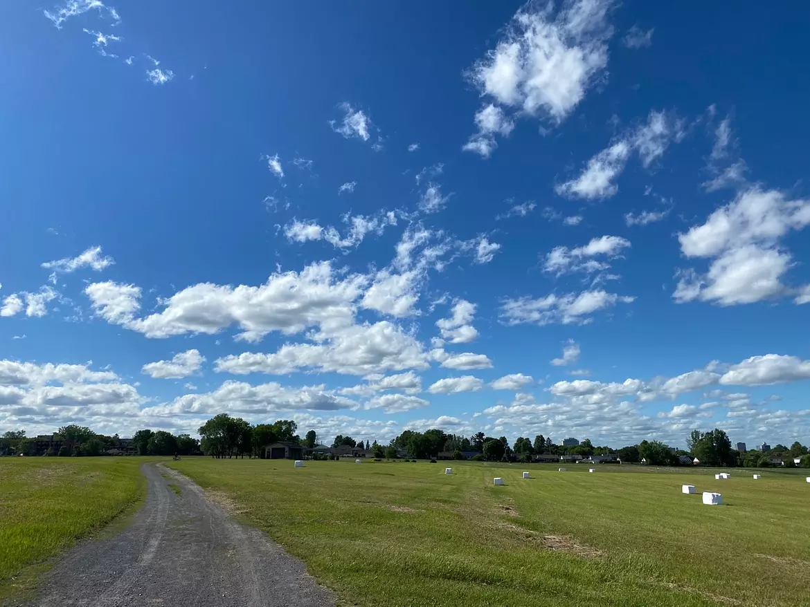 a dirt road in a field